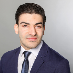 Ing. Sepehr Abbas Abadli's profile picture